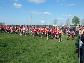 开云ky官网-青少年体育活动参与动机分析，青少年参加体育运动的动机